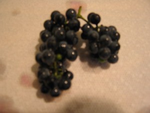 wildgrapes09