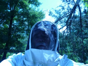 06-27-10_beekeeperastronaut