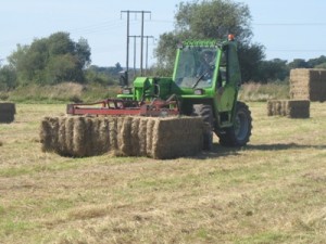 james-stacking-hay-lugg-meadow