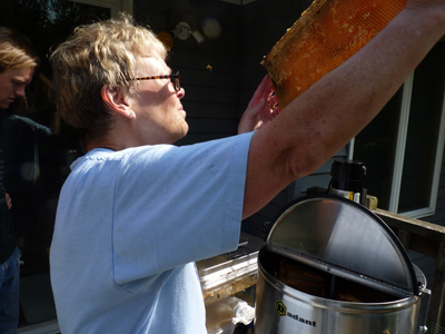 400_honey-extraction_02391