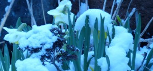 cropped2011-04-20_0896