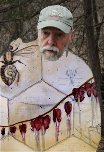 Bee guy