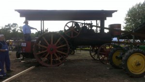 800IMAG0833