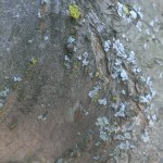 IMAG0795