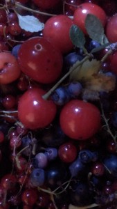 IMAG0689