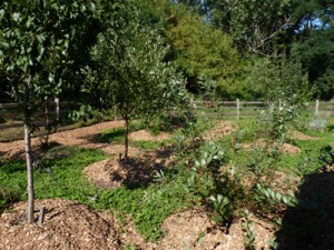 400_late summer 2010_0163