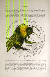 'Alchemist', pencil and acrylic on 1903 Astronomy Map (2013) by Louise McNaught
