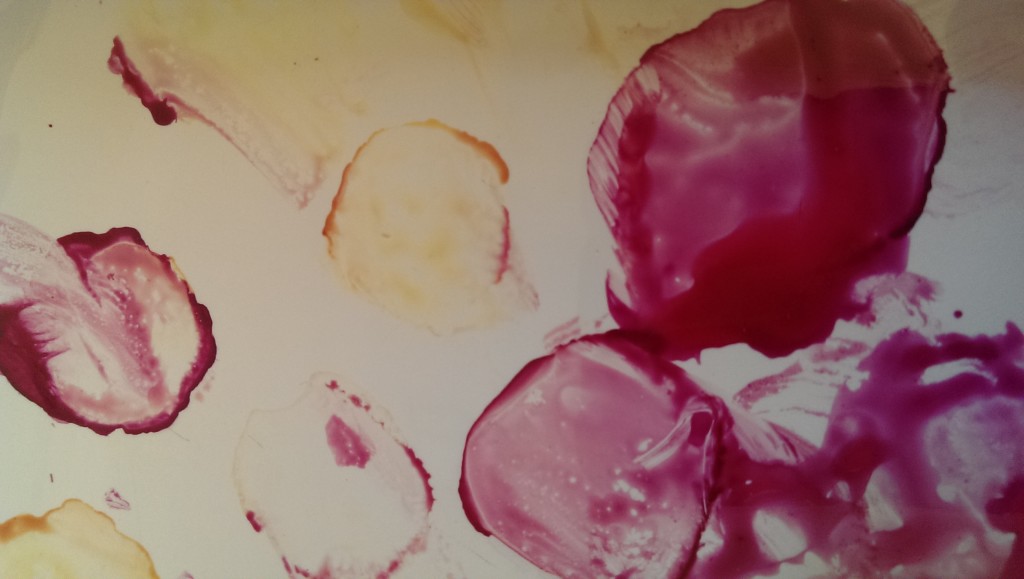 IMAG0337