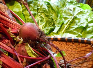 beets chard 7 6 12R600