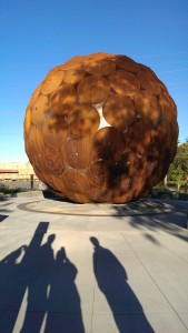 IMAG0657