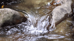 You can’t control the Universe. You are the water, not the rock