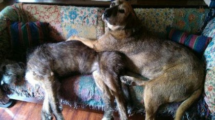 Vega, in a happier moment, with her sister, Rigel