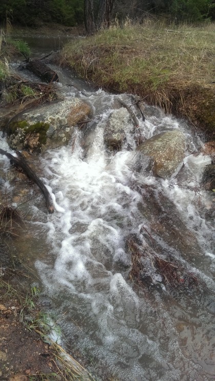 Cub Creek at Lower Maxwell Falls Trailhead
