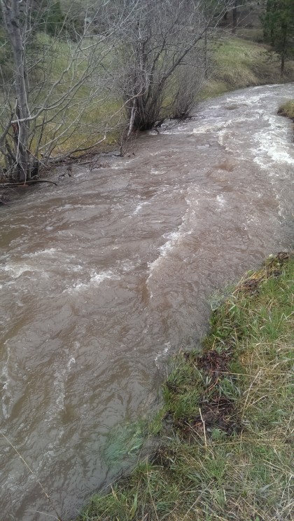 Cub Creek near Highway 73 that goes into Evergreen 