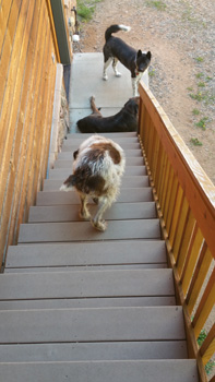 upstairs downstairs