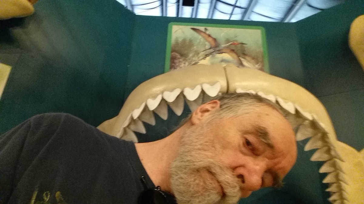 Dinosaur Resource Center
