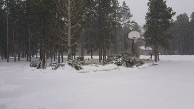 early Nov 16 snow around 3 pm