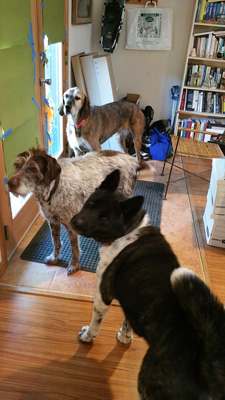 Kepler, Gertie, Vega