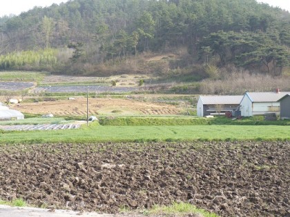 fields and tombs