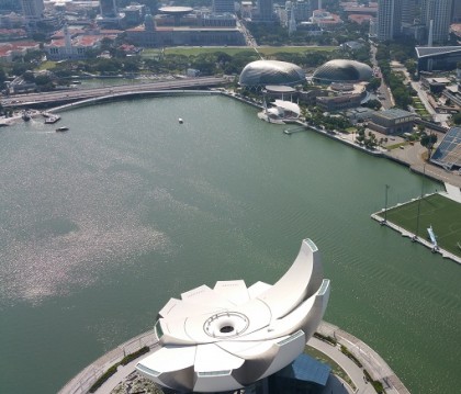 lotus flower, cricket club, esplanade