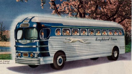 greyhound