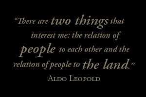 quote_twothings