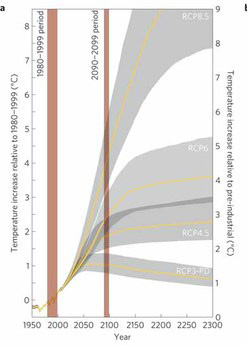co2-concentration-different-scenarios