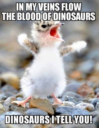 dinosaurs