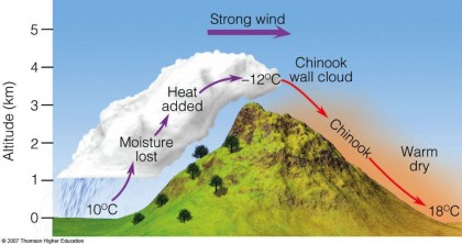 chinook