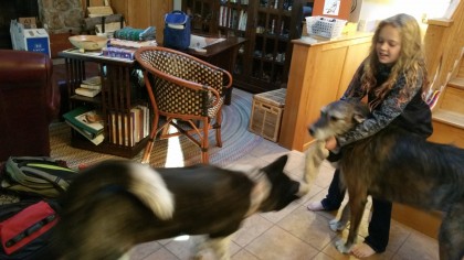 rigel and kepler