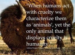 cruelty