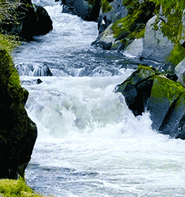 river-lb