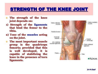 anatomy-of-the-knee-joint-33-638