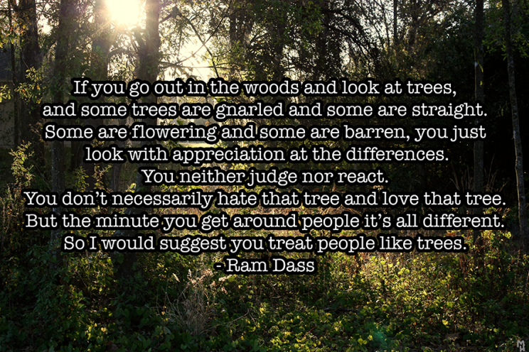 ram dass