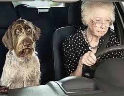 senior driving