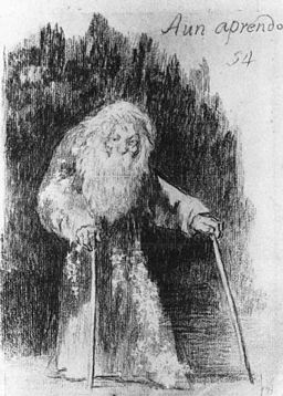 Goya, Ancora Imparo, I am still learning