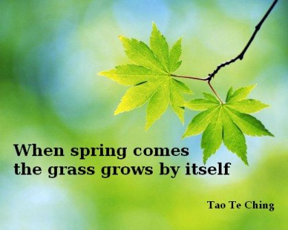 Tao4