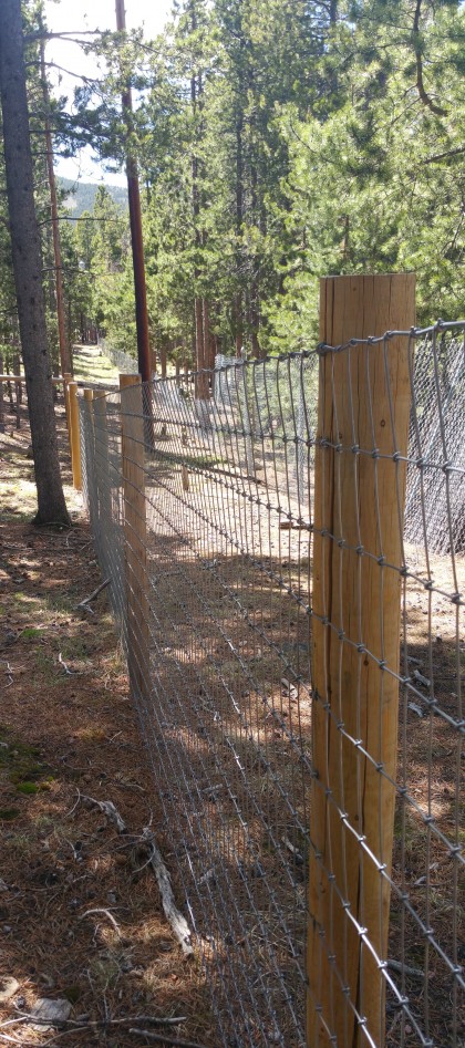 Utility easement at our northern property line