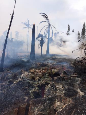 Kilauea. May 9.  severe ground cracks associated with fissure 14 in Leilani estates   USGS