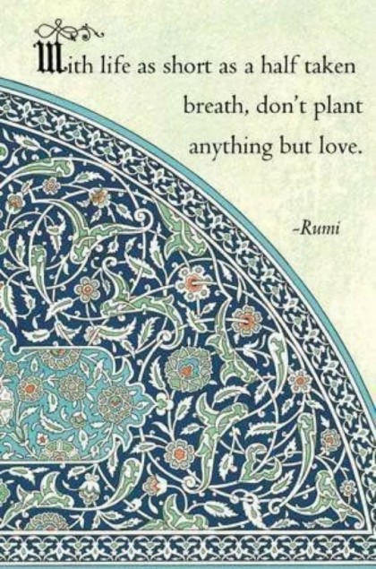 Rumi