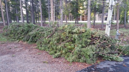 Half of the slash, May, 2016