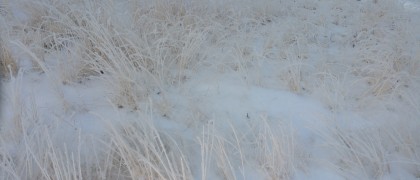 20181227_081313