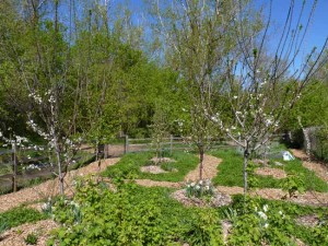 2011-05-17_0797early-spring-2011
