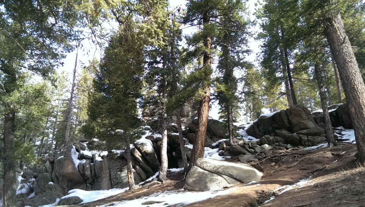 Off the Upper Maxwell Falls trail in the Arapaho National Forest a mile plus from our house
