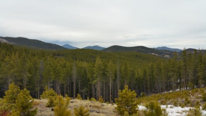 view from burned over area