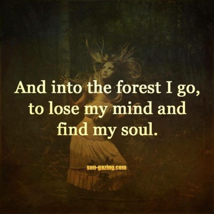 forest and soul