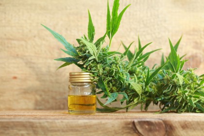 medicine cannabis oil and hemp marijuana extract