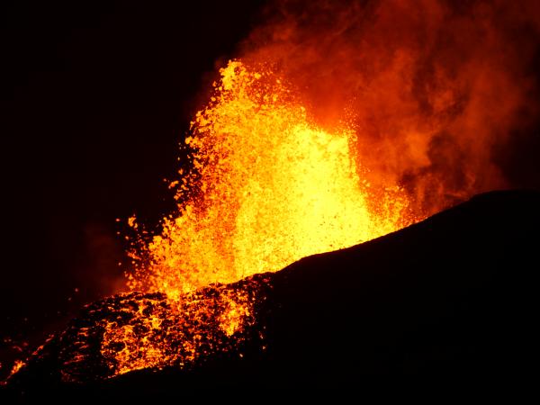Around 3:00 a.m. HST today (June 8), lava fountains erupting from fissure 8 on Kīlauea Volcano's Lower East Rift Zone were reaching heights of 180–220 feet. 