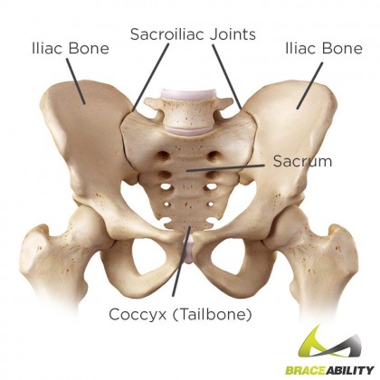 sacroiliac-joint-and-hips